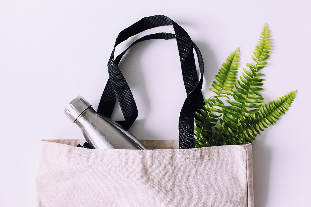 a cotton tote with a reusable bottle and a fern